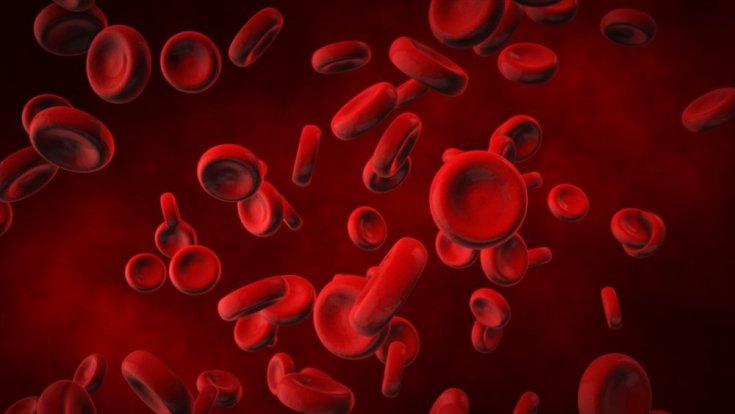  What Are Blood Clots?
