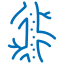 venous-disease-icon